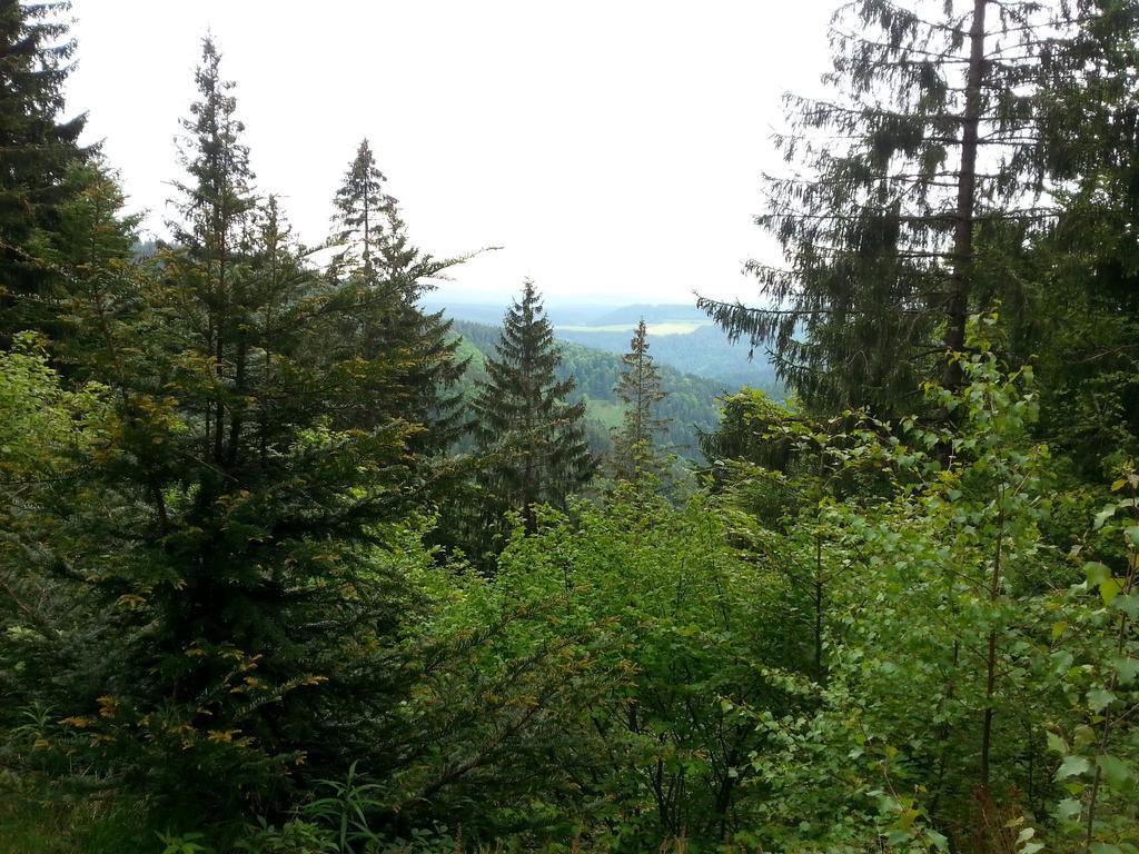 Giteovosges La Croix-aux-Mines Bagian luar foto
