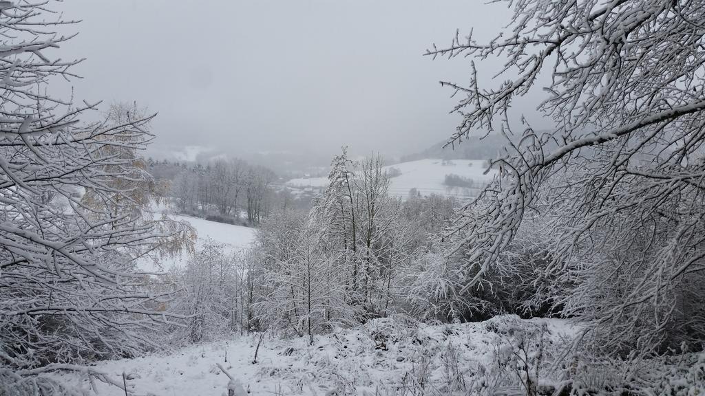 Giteovosges La Croix-aux-Mines Bagian luar foto